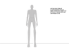 Male Croqui Template