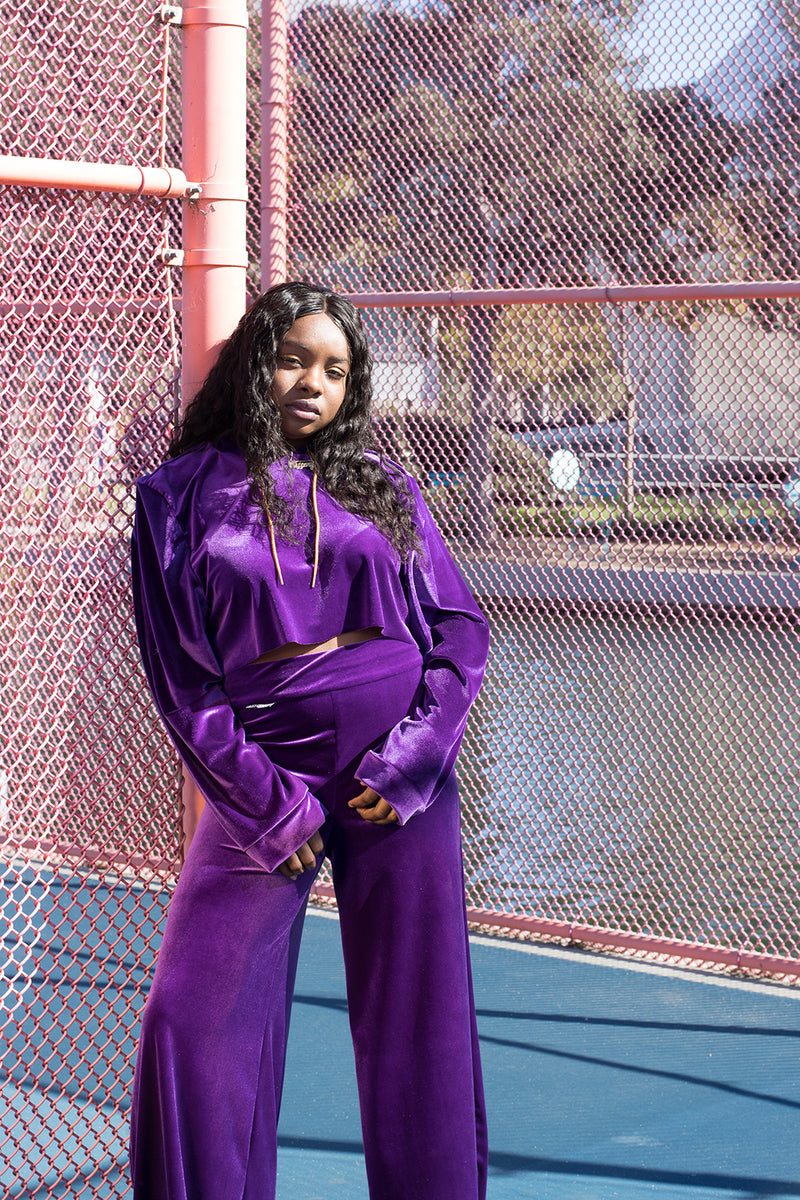 Velvet Cropped Hoodie