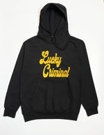 Place Logo here Hoodie