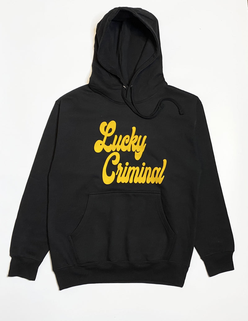 Place Logo here Hoodie